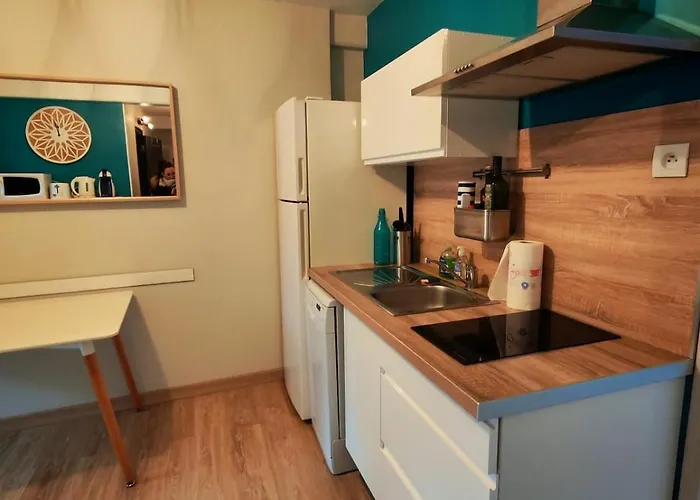 Appartement T3 Hyper Centre 4 à 6 Personnes Terrasse Et Wifi